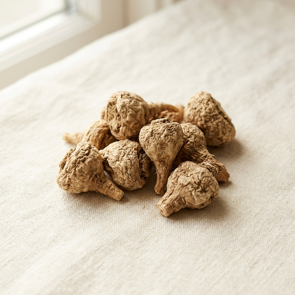 CurveOn ingredient: Maca root macro photo